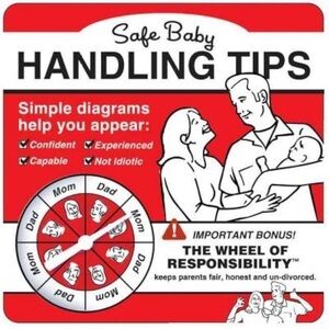 Safe Baby Handling Tips Book
